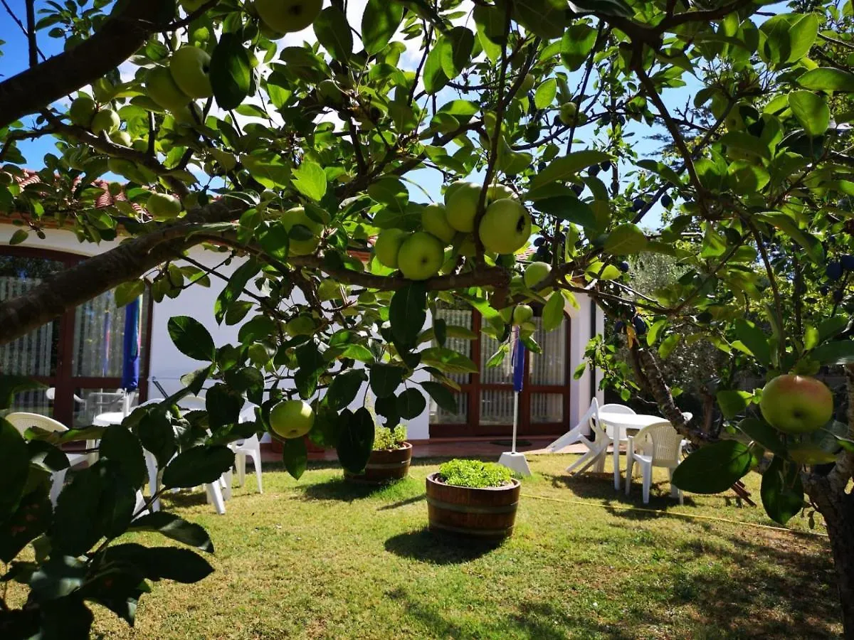 Agriturismo Valle Dei Venti La Sdriscia Farm stay