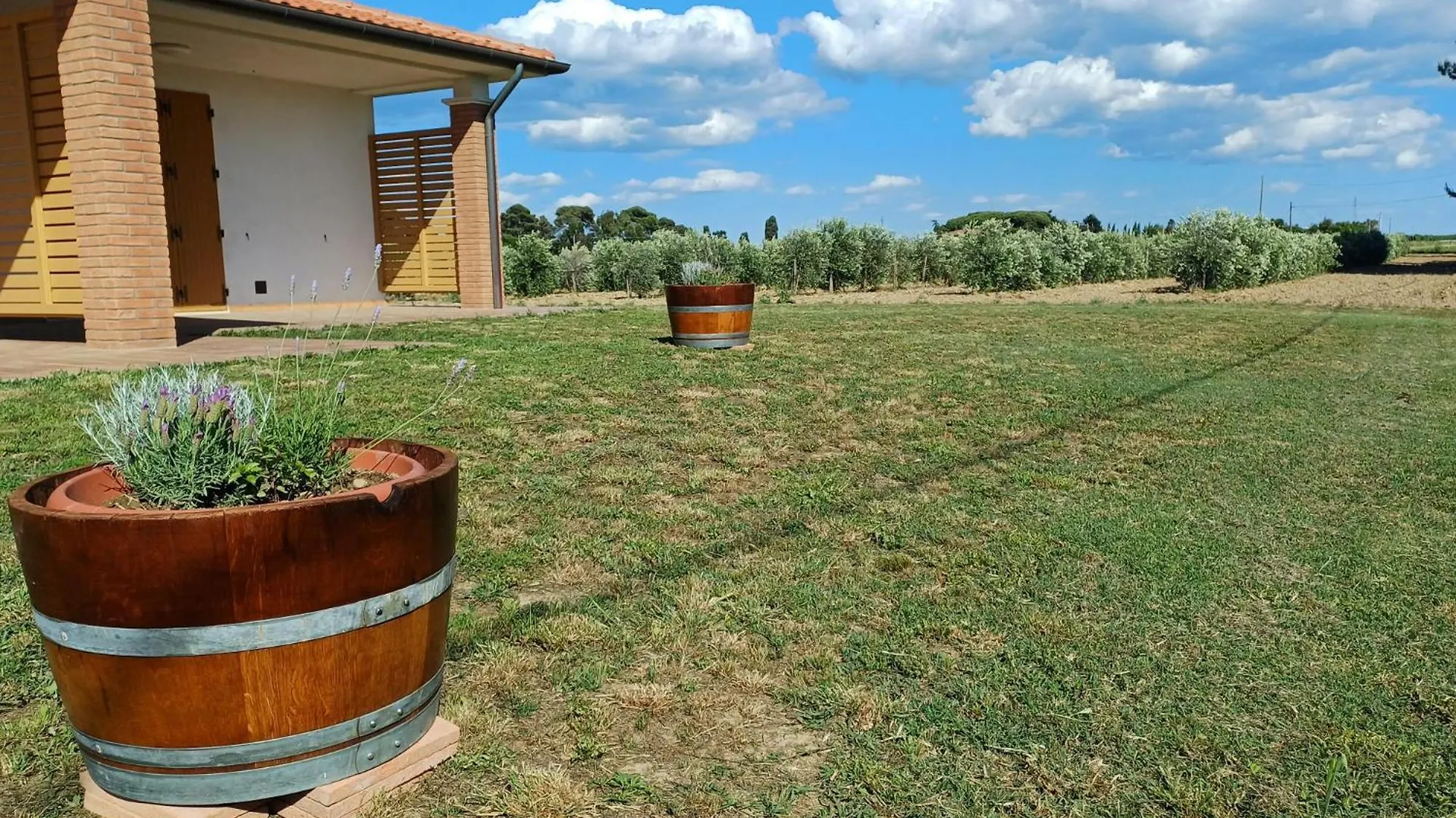 Agriturismo Valle dei Venti Populonia Italia