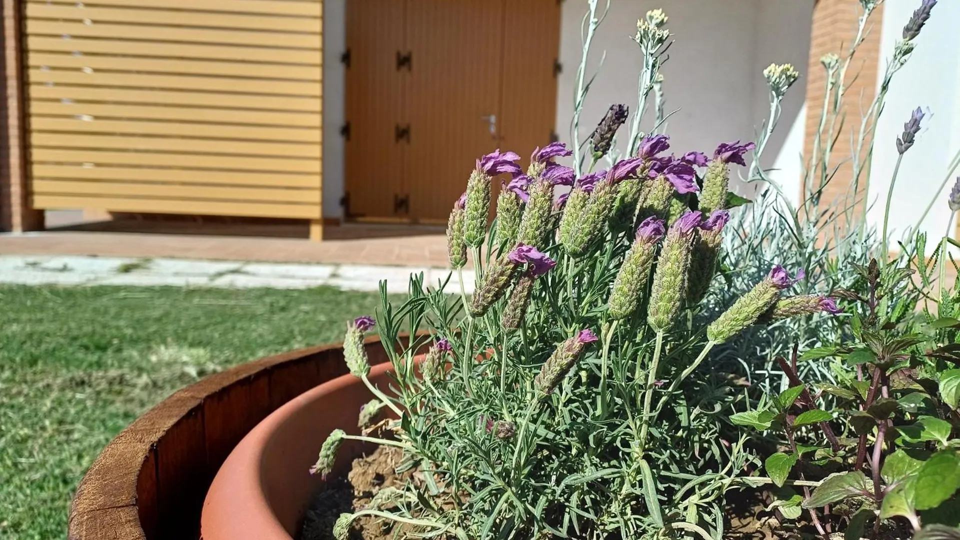 Agriturismo Valle dei Venti Populonia Italia