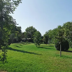 Agricampeggio Tognoni Glamping Campeggio