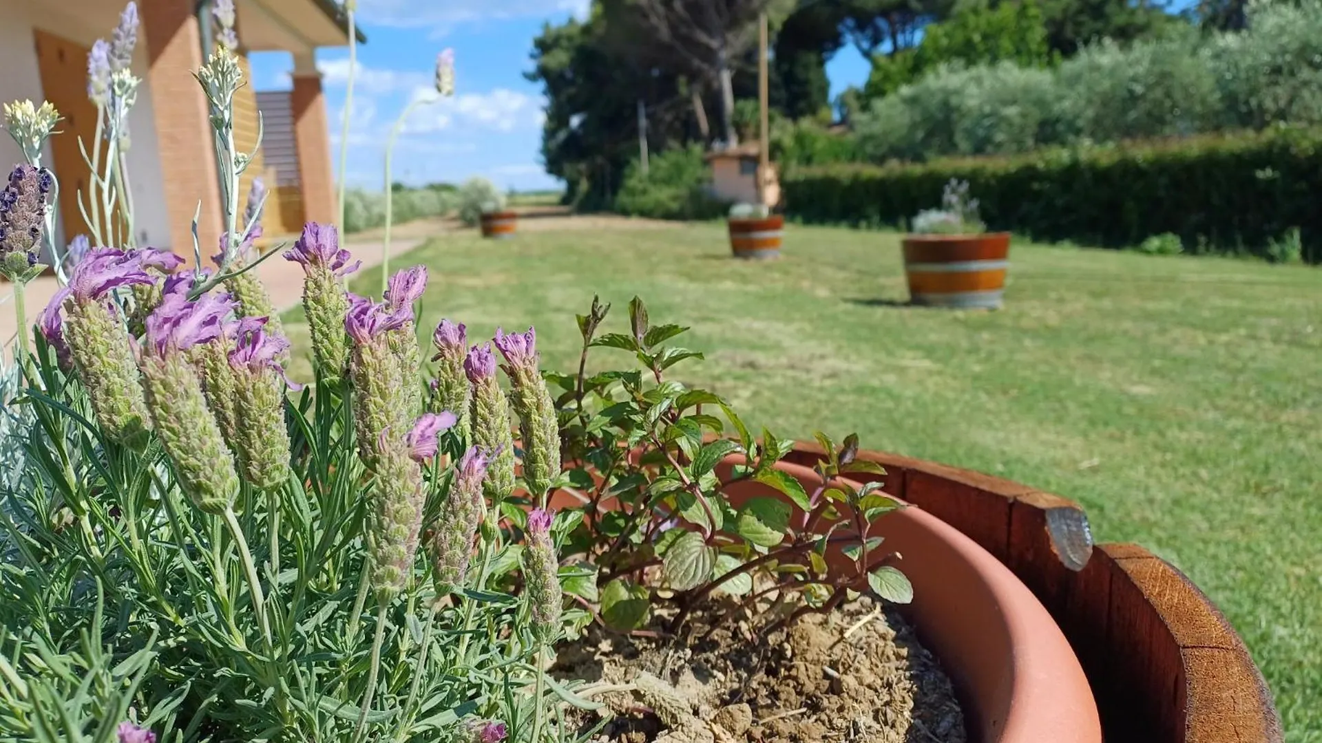 Agriturismo Valle Dei Venti Populonia Gospodarstwo agroturystyczne